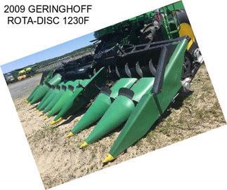 2009 GERINGHOFF ROTA-DISC 1230F