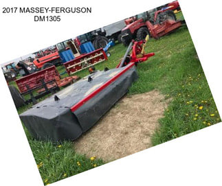 2017 MASSEY-FERGUSON DM1305