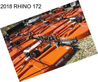 2018 RHINO 172