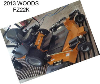 2013 WOODS FZ22K