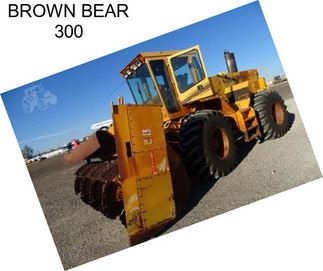 BROWN BEAR 300