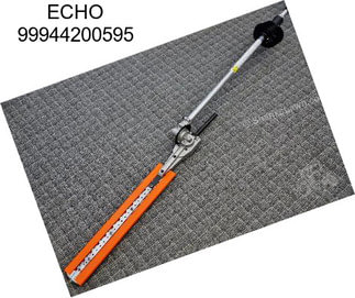 ECHO 99944200595