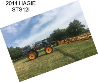 2014 HAGIE STS12I