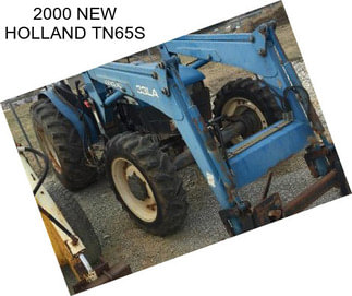 2000 NEW HOLLAND TN65S