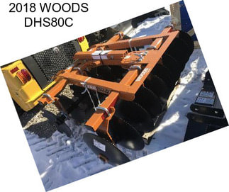 2018 WOODS DHS80C