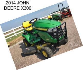 2014 JOHN DEERE X300