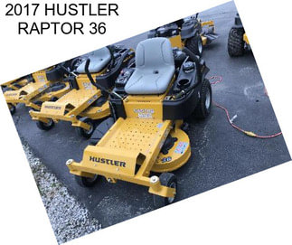 2017 HUSTLER RAPTOR 36