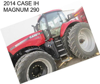 2014 CASE IH MAGNUM 290