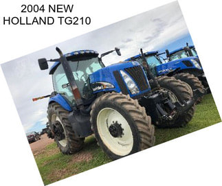 2004 NEW HOLLAND TG210