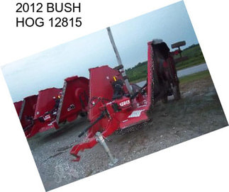 2012 BUSH HOG 12815