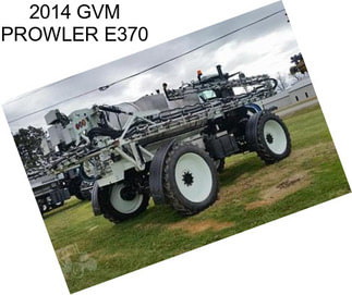 2014 GVM PROWLER E370