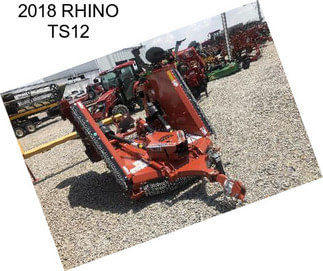 2018 RHINO TS12