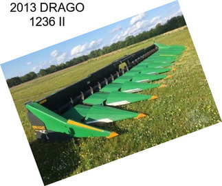 2013 DRAGO 1236 II