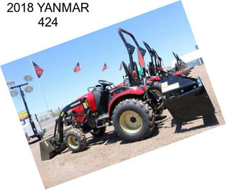 2018 YANMAR 424