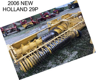 2006 NEW HOLLAND 29P