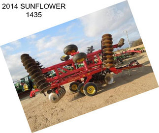 2014 SUNFLOWER 1435