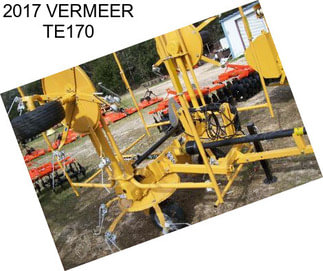 2017 VERMEER TE170