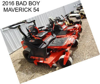 2016 BAD BOY MAVERICK 54