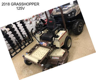 2018 GRASSHOPPER 125V