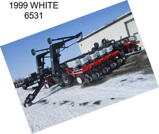 1999 WHITE 6531