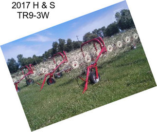 2017 H & S TR9-3W