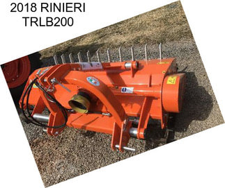 2018 RINIERI TRLB200