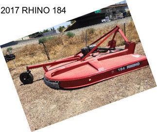 2017 RHINO 184