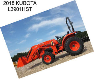 2018 KUBOTA L3901HST