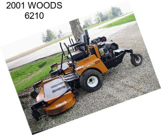 2001 WOODS 6210