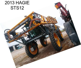 2013 HAGIE STS12