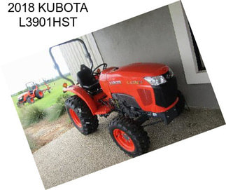 2018 KUBOTA L3901HST