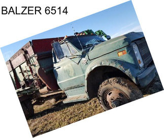 BALZER 6514