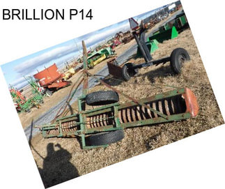 BRILLION P14