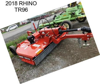 2018 RHINO TR96