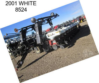 2001 WHITE 8524