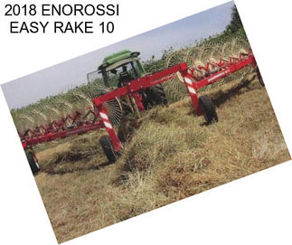 2018 ENOROSSI EASY RAKE 10