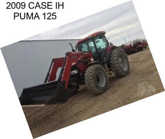 2009 CASE IH PUMA 125