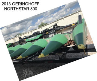 2013 GERINGHOFF NORTHSTAR 800