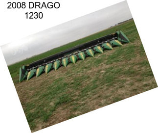 2008 DRAGO 1230