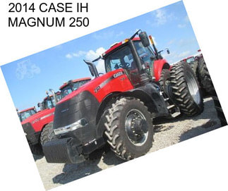 2014 CASE IH MAGNUM 250