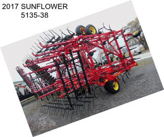 2017 SUNFLOWER 5135-38