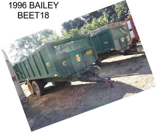 1996 BAILEY BEET18