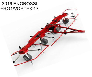 2018 ENOROSSI ERG4/VORTEX 17