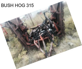 BUSH HOG 315