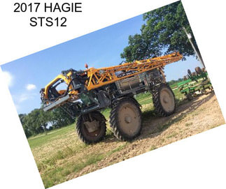 2017 HAGIE STS12