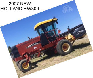 2007 NEW HOLLAND HW300