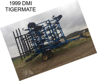 1999 DMI TIGERMATE