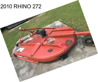 2010 RHINO 272