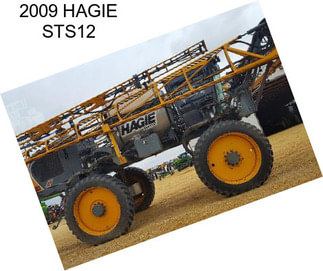 2009 HAGIE STS12