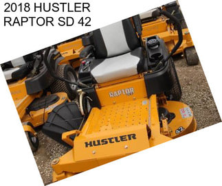 2018 HUSTLER RAPTOR SD 42